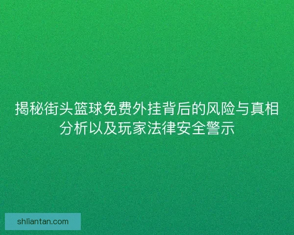 揭秘街头篮球免费外挂背后的风险与真相分析以及玩家法律安全警示