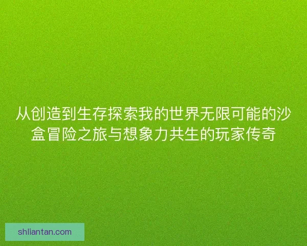从创造到生存探索我的世界无限可能的沙盒冒险之旅与想象力共生的玩家传奇